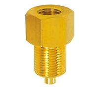 RIEGLER Riegler Manomètre Raccord Mamelon, Laiton, Mâle G 1/8, Femelle G 1/4 Quantité:1