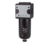 RIEGLER Riegler Mikrofiltre « multifix », avec réservoir PC, panier de protection, BG 1, G 1/4 Quantité:1