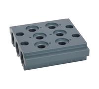 RIEGLER Riegler Plaque de base multiple pour vannes de chemin, 2 positions de vanne, G 1/4 Quantité:1