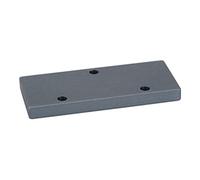 RIEGLER Riegler Plaque de recouvrement pour plaque de base G 1/4 pour surface de connexion G 1/8 Quantité:1