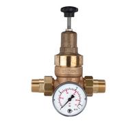 RIEGLER Riegler Réducteur de pression pour eau potable, sans DVGW, R 1 1/4, 1,5 - 12 bar Quantité:1