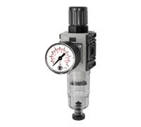 RIEGLER Riegler Régulateur de filtre »FUTURA-mini«, boîtier PC, manomètre standard, HA, G 1/4, 0,1-4 Quantité:1