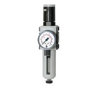 RIEGLER Riegler Régulateur de filtre »FUTURA«, PC, SK, Mano, BG 2, G 1/2, 0,1-1 bar, HA Quantité:1
