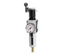 RIEGLER Riegler Régulateur de filtre »FUTURA«, PC, SK, Manomètre, BG 1, G 3/8, 0,2-4 bar, VA Quantité:1