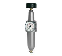 RIEGLER Riegler Régulateur de filtre »Standard«, avec récipient métal, BG 1, G 1/4 Quantité:1