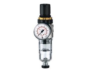 RIEGLER Riegler Régulateur de filtre »Standard-mini«, avec récipient PC incl. manomètre, G 1/4 Quantité:1