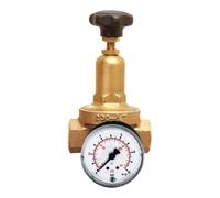RIEGLER Riegler Régulateur de pression DRV 200, version standard, G 1/2, 1,5 - 8 bar Quantité:1