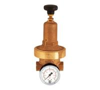 RIEGLER Riegler Régulateur de pression DRV 250, basse pression, G 1/2, 0,2 - 2 bar Quantité:1