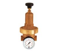 RIEGLER Riegler Régulateur de pression DRV 250, basse pression, G 1/4, 0,2 - 2 bar Quantité:1