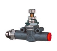 RIEGLER Riegler Vanne d'étranglement double face, filetage-tuyau, G 1/8, Ø tuyau 8 Quantité:1