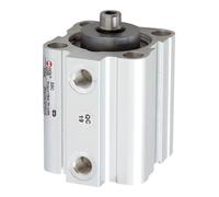RIEGLER Riegler Vérin à course courte, double effet, aimant, Ø piston 25, course 30, G 1/8 Quantité:1