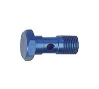 RIEGLER Riegler Vis creuse, G 1/8, SW 14, Aluminium Quantité:1