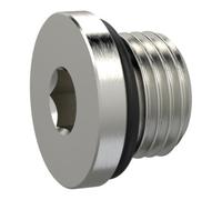 RIEGLER Riegler Vis de fermeture, six pans creux 6 mm, G 1/4, joint torique NBR, MSN Quantité:1