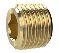 RIEGLER Riegler Vis de fixation, six pans creux, sans collerette, R 1 1/4, SW 22, MS Quantité:1