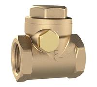 RIEGLER RK2MSE Clapet anti-retour DN 50, laiton, joint souple, G 2, PN Max. 10 bars.