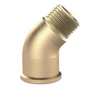 RIEGLER WST10MS45IA Raccord coudé en laiton brut 45° intérieur/extérieur, filetage G 1", pression de fonctionnement 16 bar