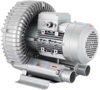 Rieo Souffleur à Turbine Monophasé à Grand Débit d'air 110 V 120 W Souffleur Régénératif Pompe à Vide Industrielle Souffleur à Anneau Vortex Haute Pression Monophasé