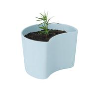 RIG-TIG Pot avec graines YOUR TREE Bleu (Pin)