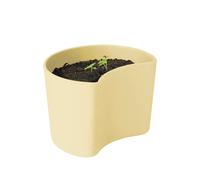 RIG-TIG Pot avec graines YOUR TREE Jaune (Bouleau)