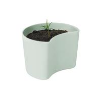 RIG-TIG Pot avec graines YOUR TREE Vert (Pin)