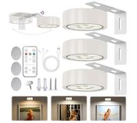 RIRIDAMAI 3 PCS Lampe Tableau Télécommandé Magnétique, Eclairage Tableau LED Sans Fil Rechargeable, 3 Couleurs et Fonction de Minuterie, Applique Murale Pour Tableau Sans Fil, Pour Cuisine, Armoire