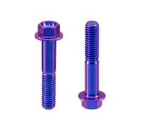 RISON-Titanium 2 Pièces Vis à Tête à Bride en Titane M6x1.0x40mm, Vis de Tête de Rondelle de Bouchon Boulons à Tête Hexagonale d'entraînement Fixation pour Vélo, Moto, Voiture