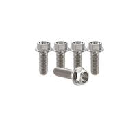 RISON-Titanium 5 Pièces Vis à Tête à Bride en Titane M10x1.25x25mm, Vis de Tête de Rondelle de Bouchon Boulons à Tête Hexagonale d'entraînement Fixation pour Vélo, Moto, Voiture