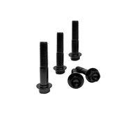 RISON-Titanium 5 Pièces Vis à Tête à Bride en Titane M10x1.25x30mm, Vis de Tête de Rondelle de Bouchon Boulons à Tête Hexagonale d'entraînement Fixation pour Vélo, Moto, Voiture