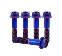 RISON-Titanium 5 Pièces Vis à Tête à Bride en Titane M6x1.0x20mm, Vis de Tête de Rondelle de Bouchon Boulons à Tête Hexagonale d'entraînement Fixation pour Vélo, Moto, Voiture