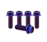 RISON-Titanium 5 Pièces Vis à Tête à Bride en Titane M8x1.25x20mm, Vis de Tête de Rondelle de Bouchon Boulons à Tête Hexagonale d'entraînement Fixation pour Vélo, Moto, Voiture