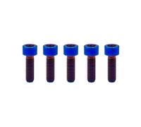 RISON-Titanium 5 Pièces Vis à Tête Cylindrique Six Pans Creux en Titane DIN912 M6x1.0x15mm, Vis à Métaux Cylindrique Allen, Boulons à Tête Hexagonale Vis avec Filetage Métrique