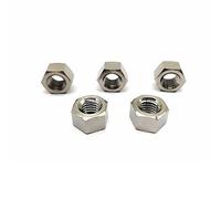RISON-Titanium Écrou Hexagonal en Titane M6, Écrous Hexagonaux et Mecaniques DIN 934, Ecrou Frein Hexagonal de Blocage pour Vis, Boulons Filetés & Tiges Filetées, 5 Pièces