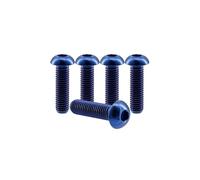 RISON-Titanium Vis à Tête Bombée en Titane GR5 M4x12mm, 5 Pièces Vis à Tête de Bouton ISO7380 Boulons à Six Pans Creux Allen Boulon à Douille Hexagonale Vis à Métaux
