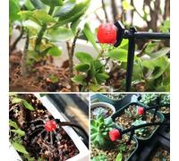 Risveglio Lot de 10 goutteurs réglables pour plantes en pot, anti-obstruction et irrigation goutte à goutte, tuyau d'arrosage