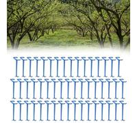 Risveglio Lot de 25 ou 50 épandeurs de branches d'arbres fruitiers, réglables pour cintreuses de branches en plastique pour maximiser le rendement, pour outils de jardinage essentiels