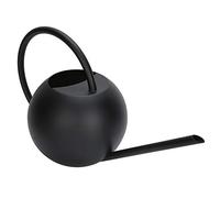 Riuulity Arrosoir Inox 1L Bec Long Ergonomique | Dispositif de Bouteille de Pot de Plante D'intérieur et D'extérieur, Corps en Métal Antirouille Durable, Poignée Facile à