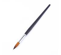Riuulity Ensemble de Pinceaux à Peinture en Bois Poli de qualité, Bonne Résilience et élasticité, 9 Pièces pour étudiants en Art