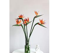 Riuulity Simulation Oiseau du Fleur 55 Cm, Magnifique Strelitzia Reginae Artificielle pour Décor de Photographie, Matériau en Caoutchouc Souple, Lot de 3