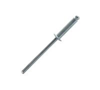 Rivet acier standard tête plate 4.8x16 boite de 250 Scell-it