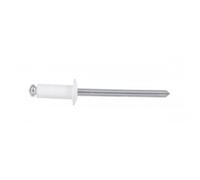 Rivet aveugle ALX TRS tête ronde 4,8 x 10 mm standard blanc 50 pièces DEGOMETAL