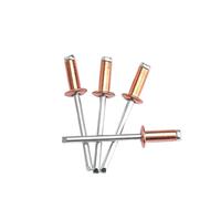 Rivet aveugle, Rivets Pop Standard aveugles ouverts en acier et cuivre, 10 pièces, M2.4 M3.2 M4 .8, Rivet décoratif(8mm,M2.4)