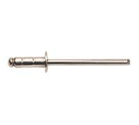 Rivet GOMULTI MINOX tête ronde standard 4x10mm boite de 500 - - 142140101