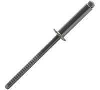 Rivet Scellit standard inox A2 inox A2 tête plate BTD Noir G