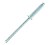 Rivet standard acier tête plate 4 x 6 mm boîte de 500 SCELL-IT SD4006