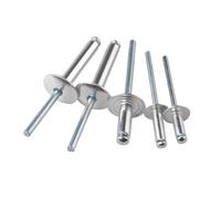 Rivets à enfoncer en aluminium Rivet Pop aveugle en alliage d'aluminium, 2.4mm 3mm 3.2mm 4mm 5mm, boulon à tige en fer, mandrin d'échappement, attaches pop en aluminium(Length 10mm,Silver M4 (30Pcs))