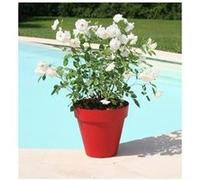 RIVIERA Pot de fleurs Soleilla -Rond - Ø 39,2 x 35,8 cm - Rouge Rouge G