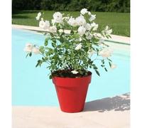 Pot de fleurs - RIVIERA - Soleilla Rond - Ø 49 x 44,8 cm - Rouge