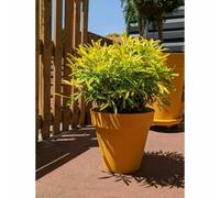 Pot de fleurs rond RIVIERA - SOLEILLA - Plastique - D59 x H54 cm - Jaune