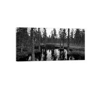 Rivière Arbre 2 Noir Blanc Paysage Tableau Toile Salon 70x140cm Encadrée