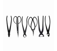 RIZGHWOY Kit D'outils de bonsaï 6 Pièces, Ensemble de Ciseaux de Professionnels avec Sac de Rangement pour le Jardinage, L'élagage, Ameublir le Sol et Couper les Feuilles